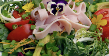 HONEY TURKEY SALAD